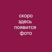 Одеяло " Лаванда"  140х205 теплое